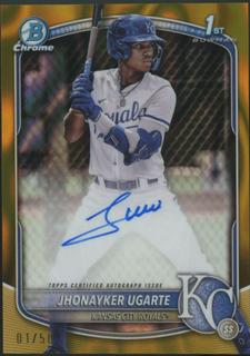 Jhonayker Ugarte