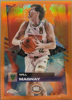 Will Magnay