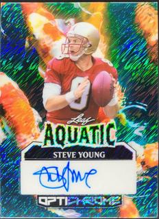 Steve Young