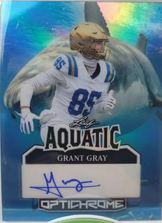 Grant Gray