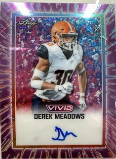 Derek Meadows