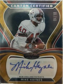 Mike Haynes