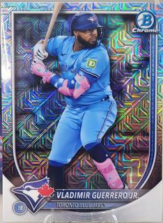 Vladimir Guerrero Jr.