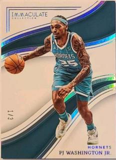PJ Washington Jr.