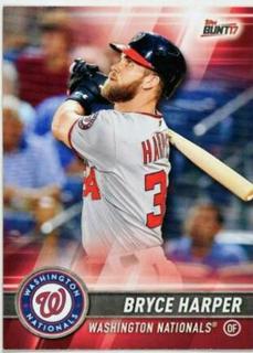 Bryce Harper