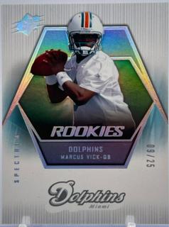 Marcus Vick