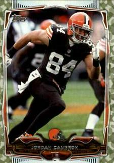 Jordan Cameron
