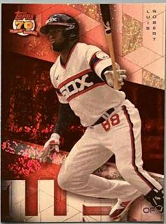 Luis Robert