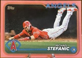 Michael Stefanic