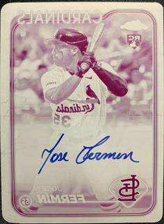 Jose Fermin