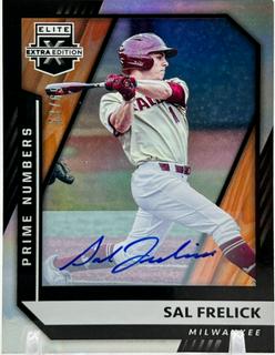 Sal Frelick