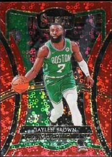 Jaylen Brown