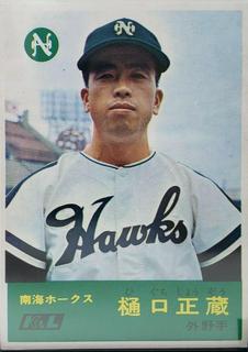 Shozo Higuchi