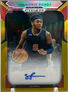 Shamorie Ponds