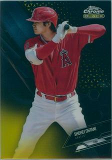 Shohei Ohtani