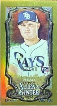 Curtis Mead [Gold Refractor] #14