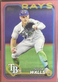 Taylor Walls