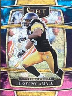 Troy Polamalu