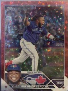 Vladimir Guerrero Jr.