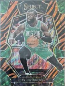 Jaylen Brown