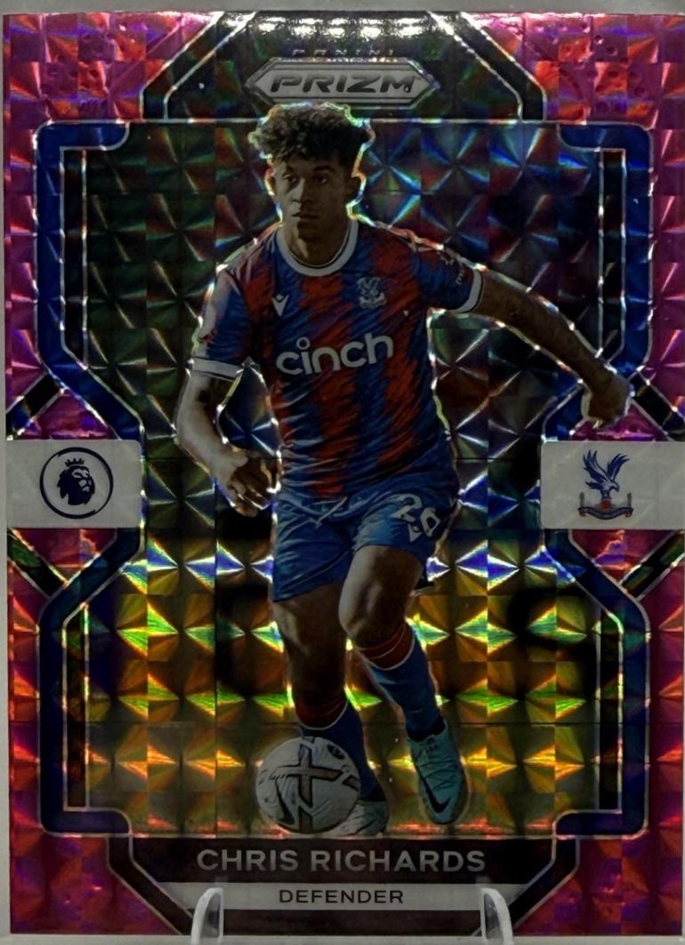 Chris Richards [Pink Mosaic] #29
