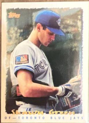 Shawn Green #302 Baseball Cards 1995 Topps Cyberstats