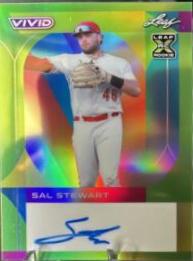 Sal Stewart
