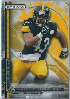 Troy Polamalu