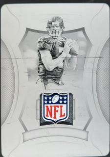 Michael Vick