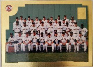 Red Sox Team