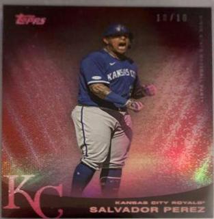 Salvador Perez