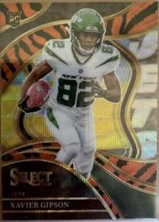 Xavier Gipson