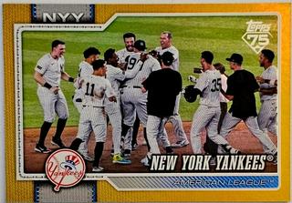 Team Card