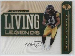 Troy Polamalu
