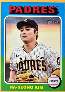 Ha-Seong Kim
