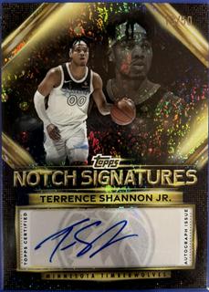 Terrence Shannon Jr.