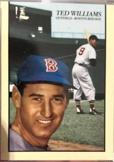 Ted Williams project 2020