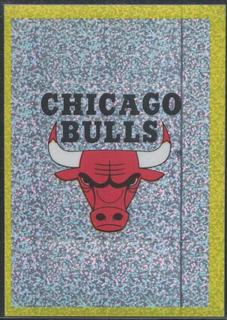 Bulls Team Logo