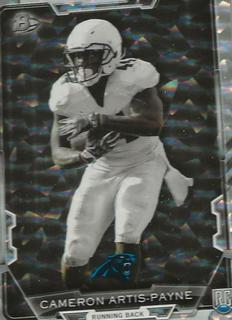 Cameron Artis Payne