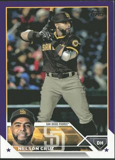 Nelson Cruz