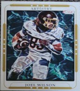 Joel Wilson