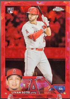 Livan Soto