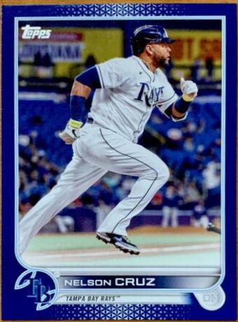 Nelson Cruz [Royal Blue] #104