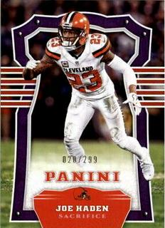 Joe Haden