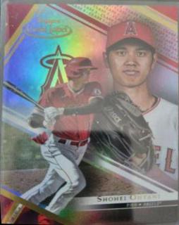 Shohei Ohtani