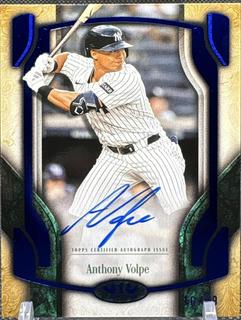 Anthony Volpe