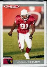 Anquan Boldin #180