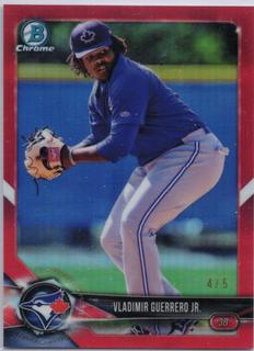 Vladimir Guerrero Jr.