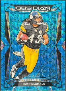 Troy Polamalu