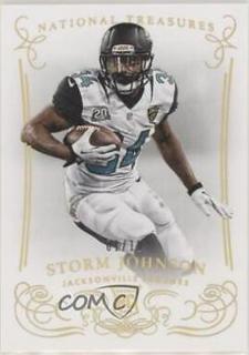Storm Johnson
